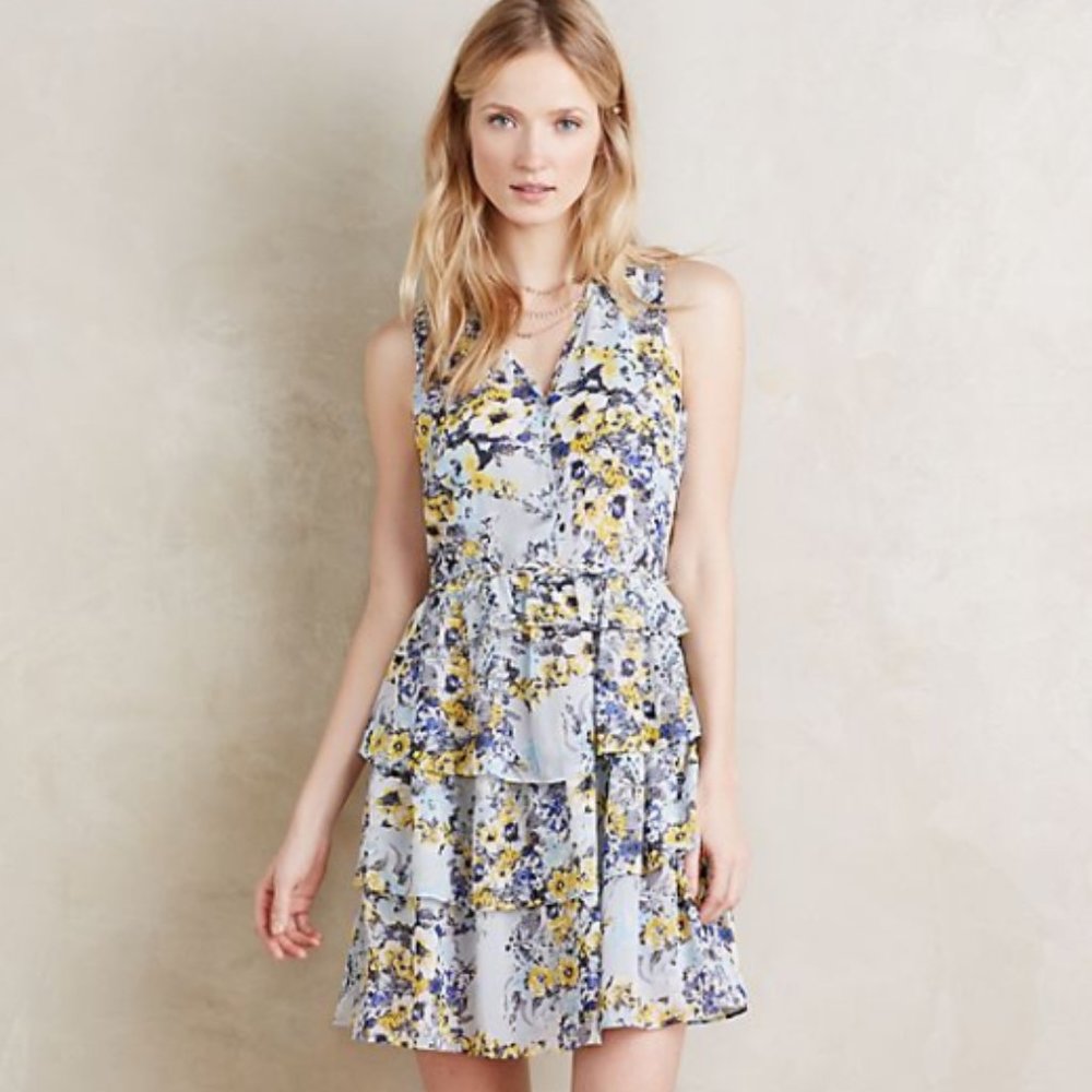 Anthropologie HD in Paris Floral Ruffle Dress
